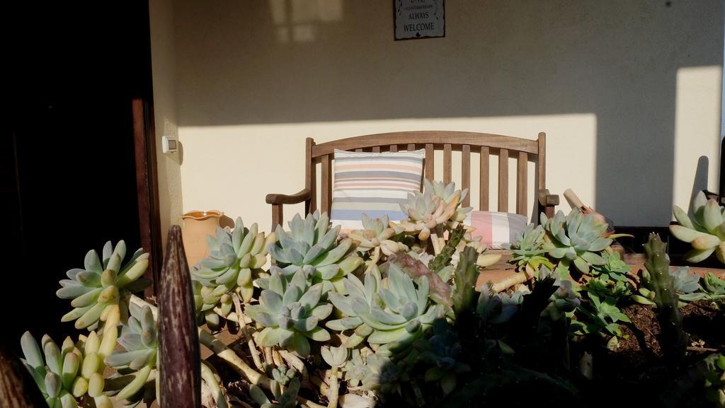B&B Le Rose Siderno Bagian luar foto